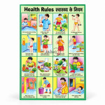 Health Rules Chart